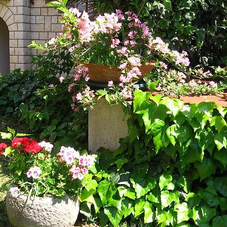 Guest House Caterina Пореч Екстериор снимка